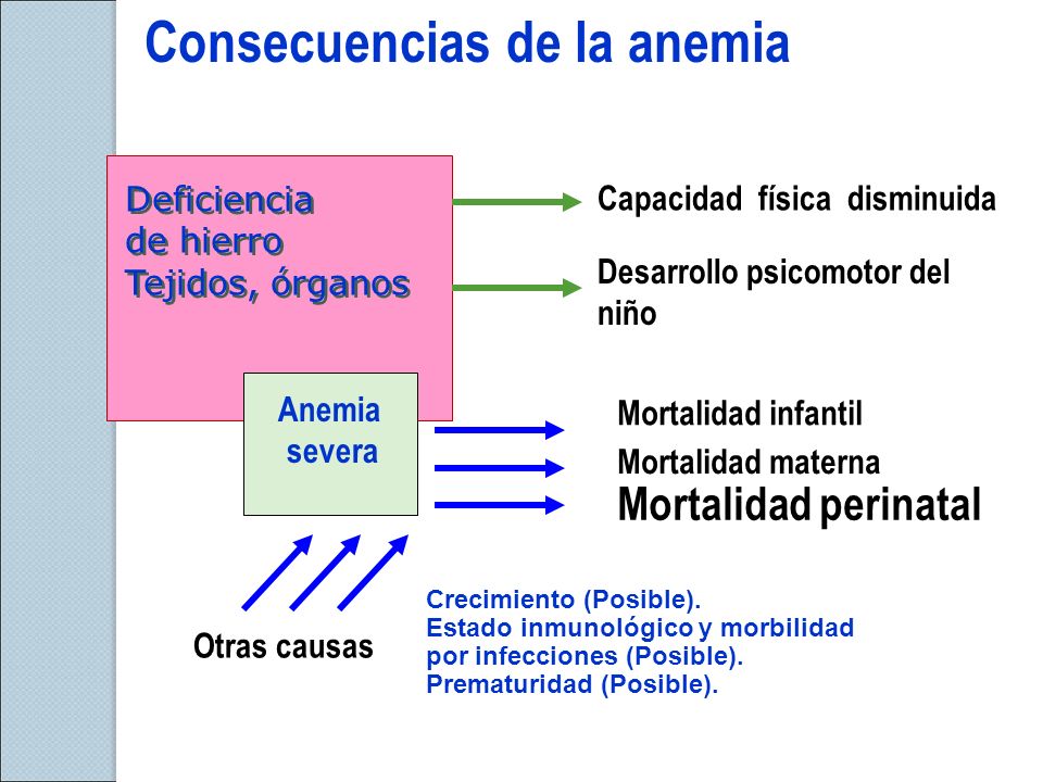 Causas de la anemia en ninos ppt Causas de la anemia en ninos ppt